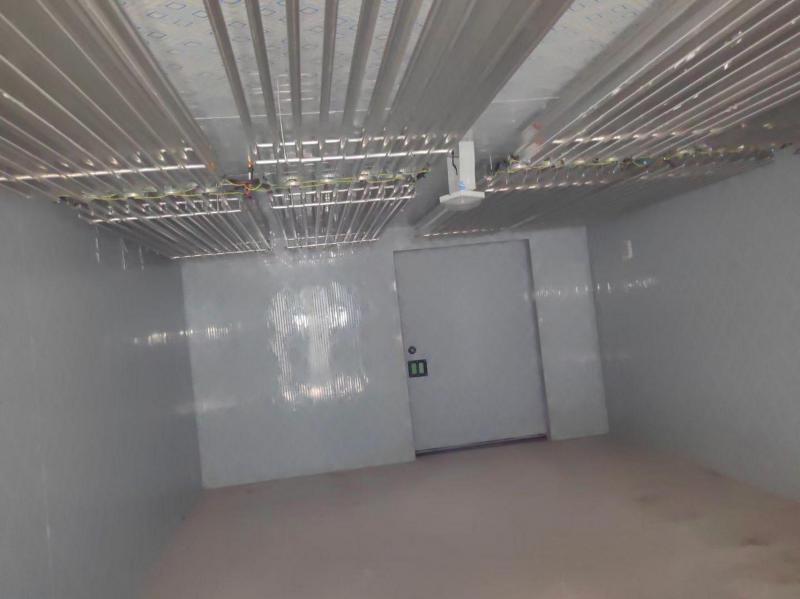 《頂排管技術(shù)在冷庫設(shè)計(jì)中的五大核心優(yōu)勢與應(yīng)用分析》